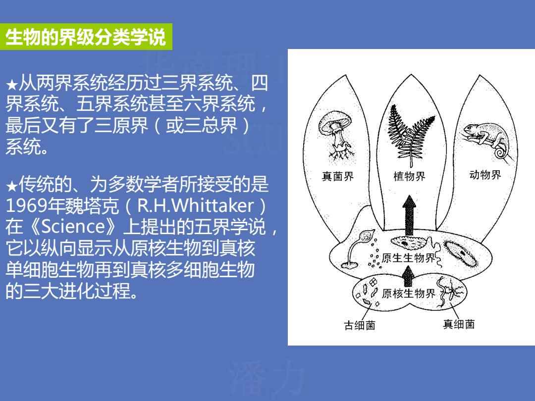 生物學界及其最新研究進展概覽