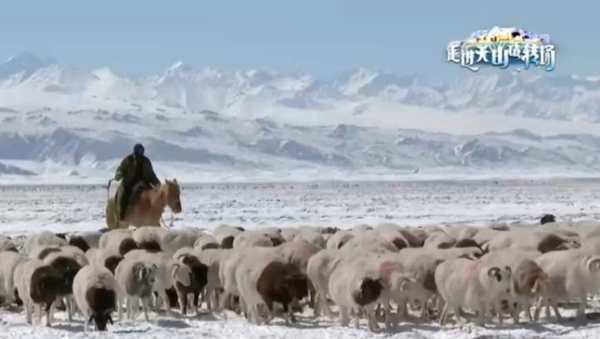 2024澳門特馬今晚開什么碼,數據引導策略解析_Q83.808