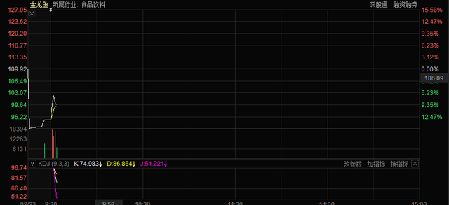 金龍魚最新股價動態與市場影響分析
