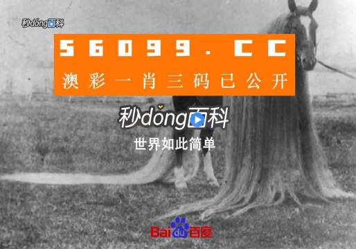 一肖一碼一必中一肖,經典解讀解析_CT60.986