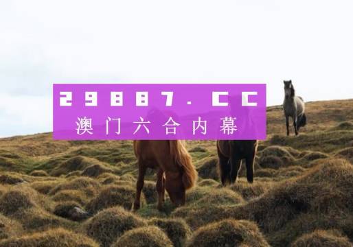 今晚澳門9點35分開獎結果,實地評估說明_L版29.642