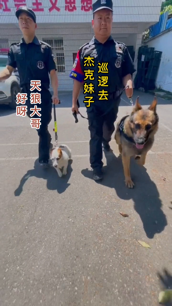 警犬來了，與守護英雄的不解之緣