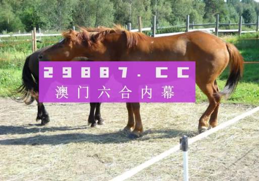 4949澳門特馬今晚開獎｜全面解讀說明