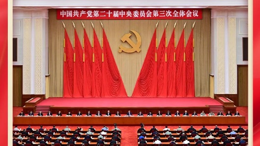 黃大仙論壇心水資料2024｜全面解讀說明