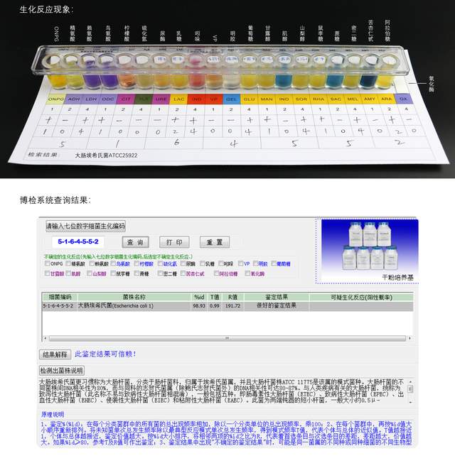 新澳門今期開獎結果記錄查詢,實地驗證方案_限量版91.632