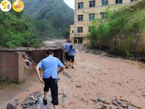 洛南暴雨最新動態，影響與應對措施