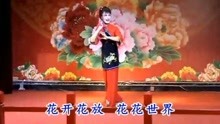 黃梅戲小辭店數字化下載，傳統藝術的現代傳承