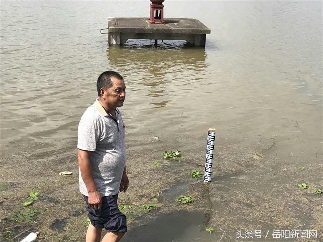 華容防汛最新動態(tài)，全力以赴筑牢安全防線防線