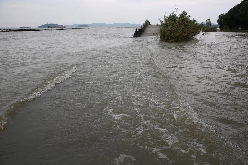 太湖洪水最新動態，全力應對，守護家園安全