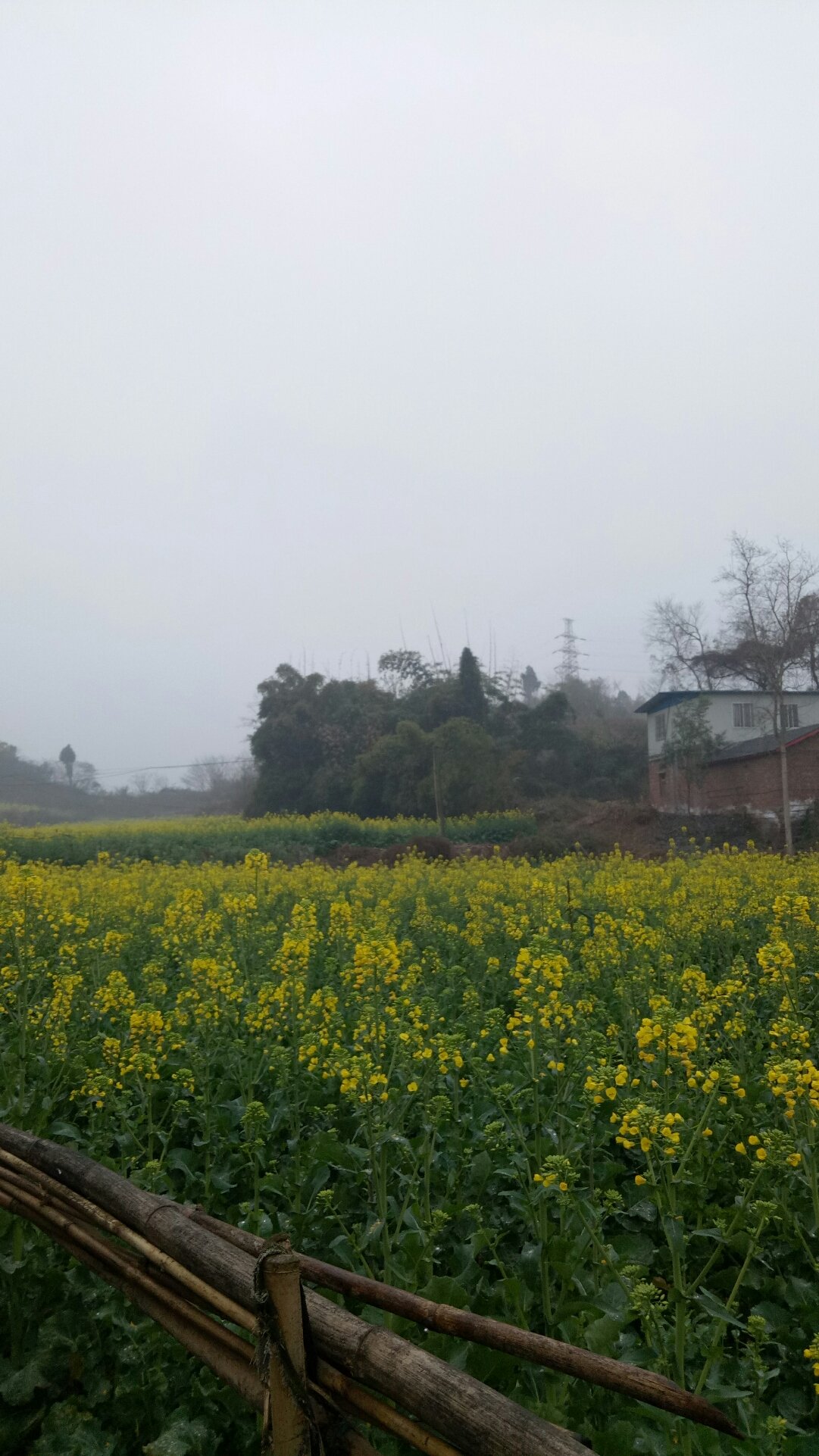 奉家鎮(zhèn)天氣預報更新通知