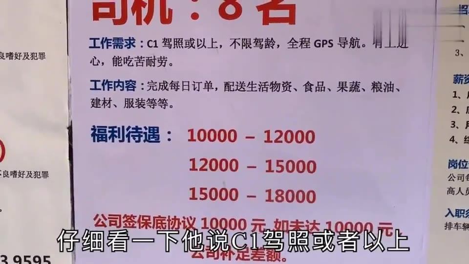 湛江司機招聘最新動態，行業趨勢與就業機會深度探討