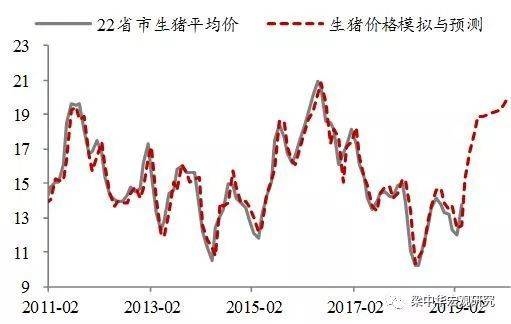 最新生豬價(jià)格行情分析與預(yù)測