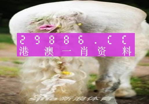 澳門平特一肖100準(zhǔn),實(shí)地分析考察數(shù)據(jù)_C版32.527