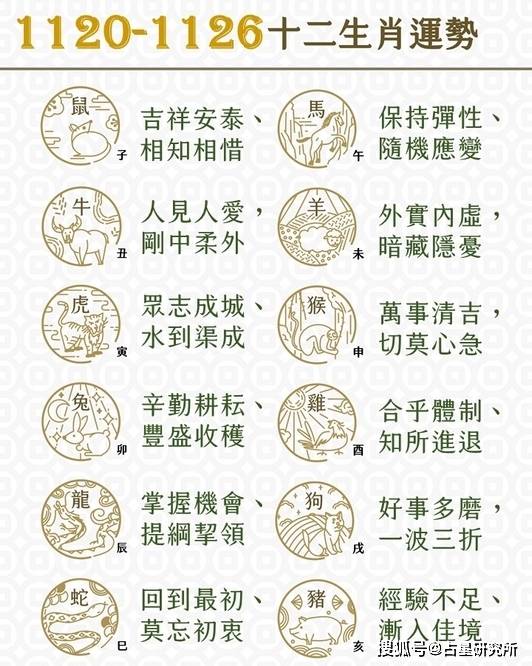 二九十八香悠悠打一準(zhǔn)確生肖,深入數(shù)據(jù)執(zhí)行應(yīng)用_QHD85.76