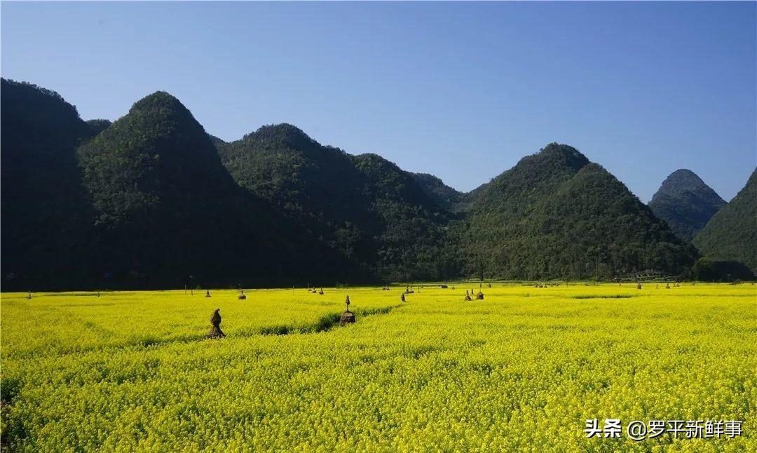 傳統(tǒng)與現(xiàn)代完美融合，最新上傳的小菜花山歌欣賞