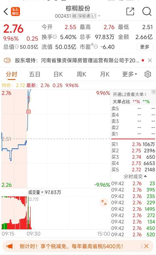 棕櫚股份股票最新動態，市場動向與行業展望分析