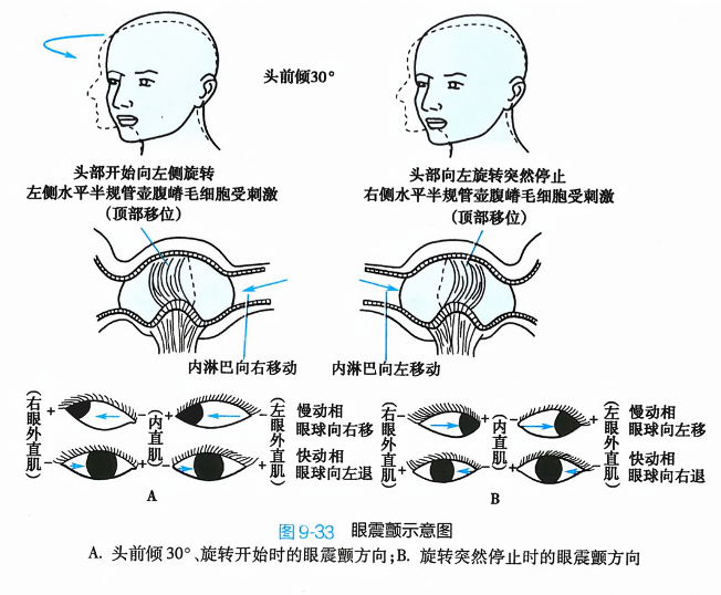 眼震研究的最新進展與應用探索